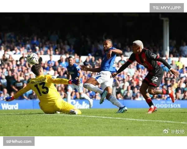 伯恩茅斯2-1逆转埃弗顿,主场韧性延续胜绩 伯恩茅斯2-1逆转埃弗顿,主场韧性延续胜绩