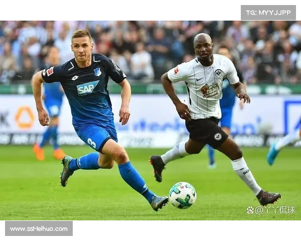 霍芬海姆3-0轻取弗赖堡，黑马本色延续冲击欧冠资格