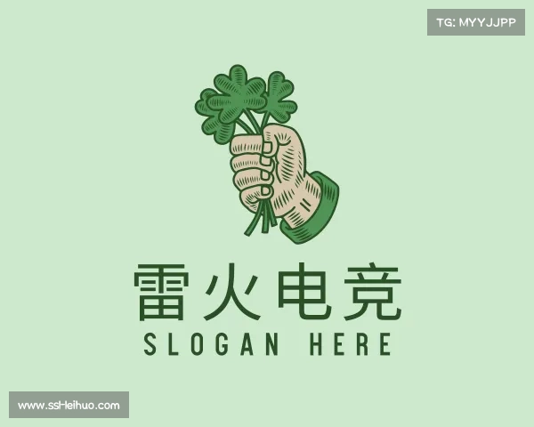 认识雷火电竞